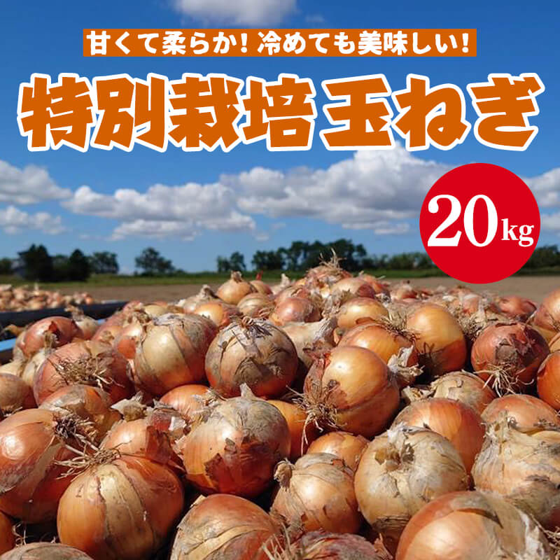 20kg】特別栽培玉ねぎ(サイズMIX)　｜おとどけ北海道